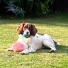 Graeme 🇬🇧🇬🇧🇬🇧 profil fotoğrafı