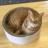 やゆよ212 的头像