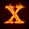 X. ็ๅคดๅ