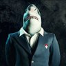 Lishark 🦈 的头像