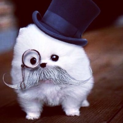 rompebraguitas3000's profile picture