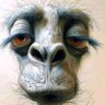 IKU DEDEGBO😡's profile picture