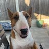 elizabeth coster's profile picture