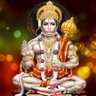 Anmol Tripathi's profile picture