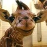 Profilbild von Jenny Pasco