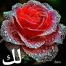 محمد 💔😥 的头像