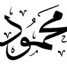 Mahmoud Al-Masry 的头像