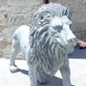 bodrum mavisi's profile picture