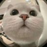 Profilbild von case沈阳单男