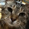 ちーぼー☆彡's profile picture
