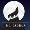 Luis Lobo's profile picture