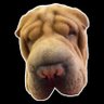 Sandra tanus's profile picture