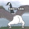 祝如意's profile picture