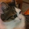 Profilbild von ゆう