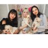 Profilbild von あき_花明かり 坂道のマモリビト