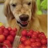 Profilbild von oheeohahah