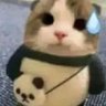 Profilbild von Goaty