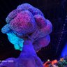 Фото профиля 铁蛋