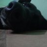 Profilbild von Pachinito