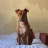 johnobi profil fotoğrafı