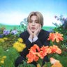 Sofia_glarmy °❀⋆.ೃ࿔*:・'s profile picture