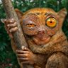 Wbad's profile picture