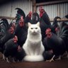 Profilbild von EarsWideOpen