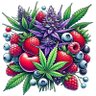 Фото профиля budz n berries