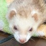 konn61's profile picture