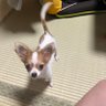 Takaaaaaaa profil fotoğrafı
