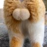 にゅるり's profile picture
