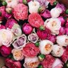 Фото профиля Happy Silly and Crazy