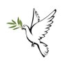 Biblicist's profile picture