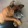 TheKING profil fotoğrafı