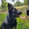 Alexander profil fotoğrafı