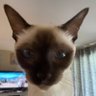 Poke368's profile picture