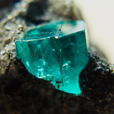 kymyk00's profile picture