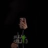 Profilbild von Contessa _97