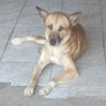 Фото профиля Demel Nascimento