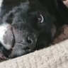 Nikki profil fotoğrafı