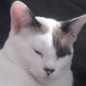 Profilbild von Graça