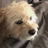 Shannon 的头像