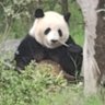 粉拖孩's profile picture