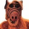 Profilbild von Osmodiar