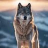 Profilbild von Toni Long