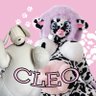 CLEO COW 🎀🐮 ➡️ ANTHRO NEW ENGLAND 2025's profile picture
