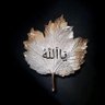 محمد حميد 的头像