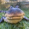 Cr0c profil fotoğrafı