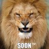 I'm your boss! @#WEWILLNOTBEWOKE profil fotoğrafı