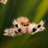 Profilbild von JumpyFeller